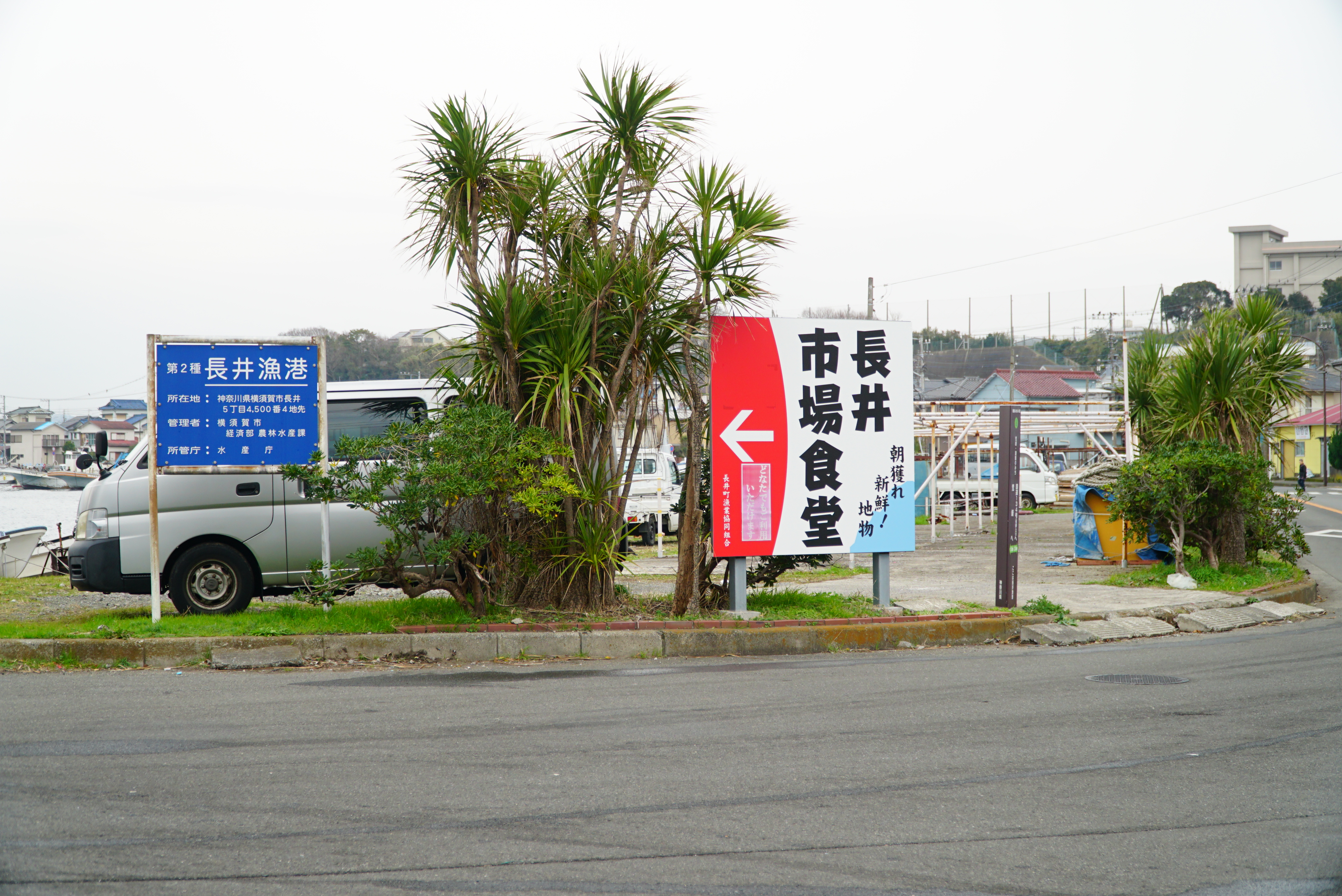 長井漁港